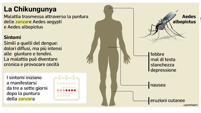 Allarme Chikungunya